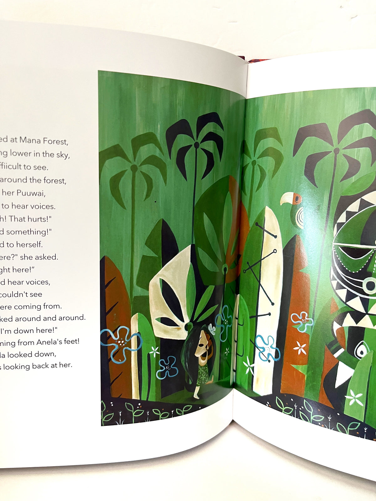Puuwai Hardcover Illustrated Book
