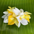 Hawaiian silk flower hair clip with white and yellow orchids | Aloha Products USA