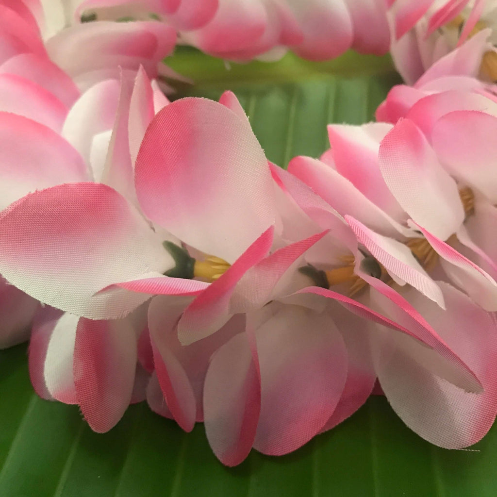 Close up view of a Hawaiian silk headband with pink and white plumeria flowers