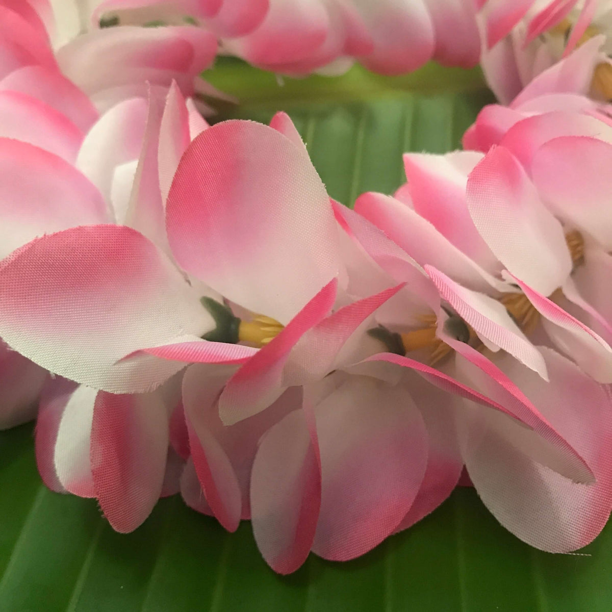 Close up view of a Hawaiian silk headband with pink and white plumeria flowers