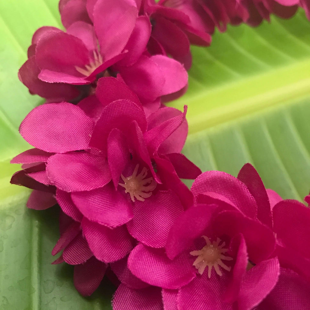 Close up view of plum colored plumeria flowers used for Hawaiian head lei