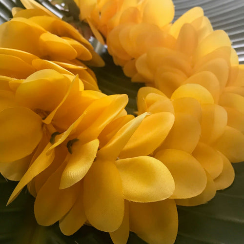 Close up view of a yellow plumeria Hawaiian silk headband | Aloha Products USA