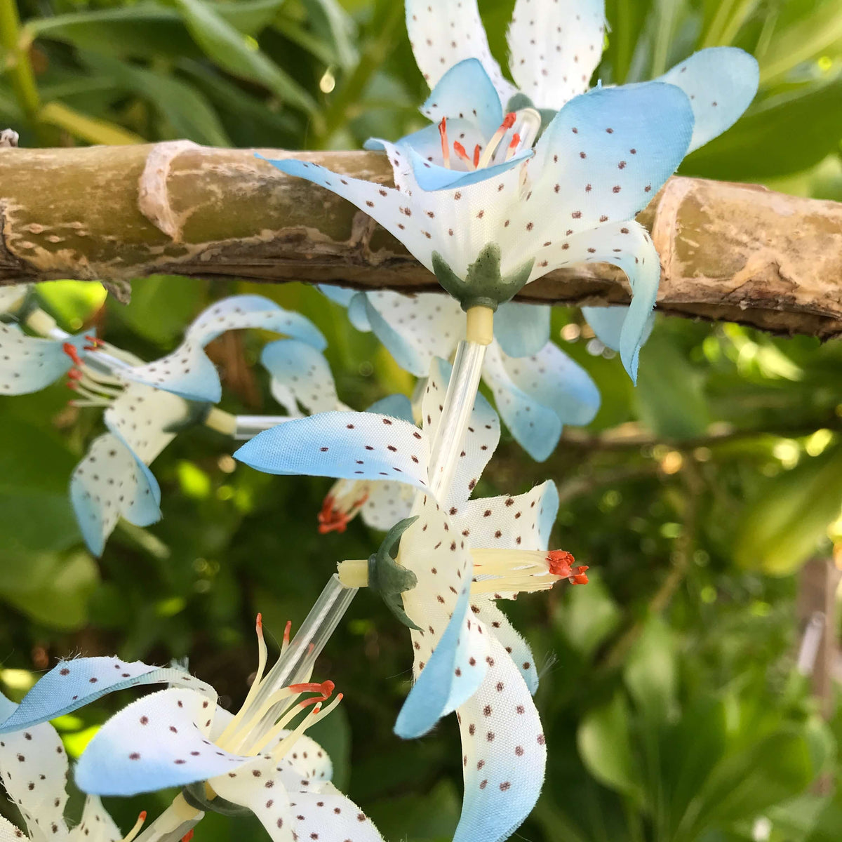 Close up view of a blue and white lily Hawaiian lei | Aloha Products USA