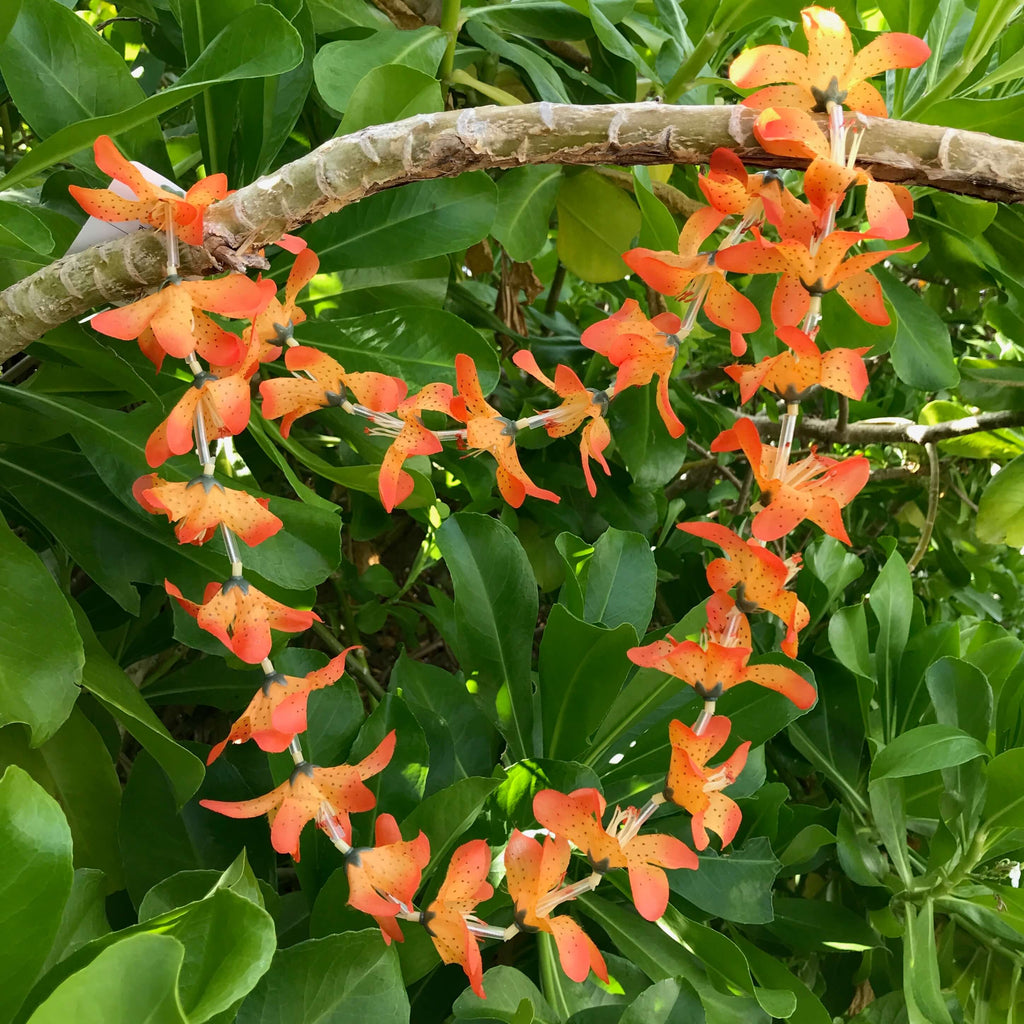 Orange Hawaiian silk lei with lily flowers | Aloha Products USA