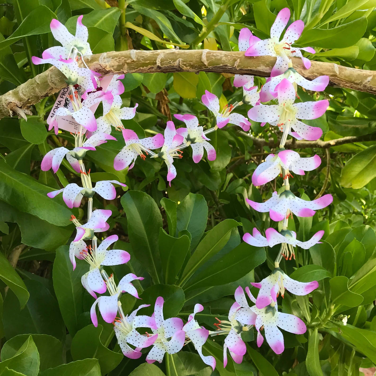 Hawaiian silk lei with purple pink and white lily flowers | Aloha Products USA