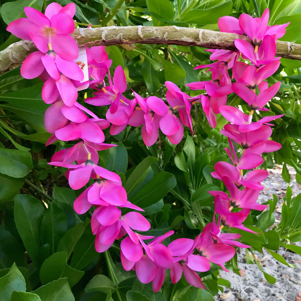 Hawaiian silk lei with hot pink plumeria flowers | Aloha Products USA
