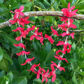 Hawaiian silk lei with vibrant red lily flowers | Aloha Products USA