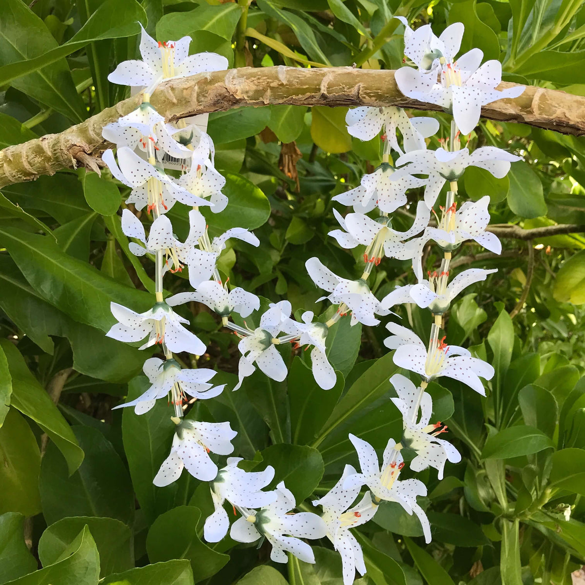 Hawaiian silk lei with white lily flowers | Aloha Products USA