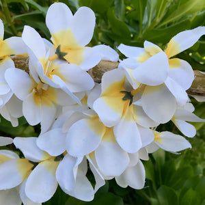 Close up view of a white silk flower wedding lei with plumeria flowers | Aloha Products USA