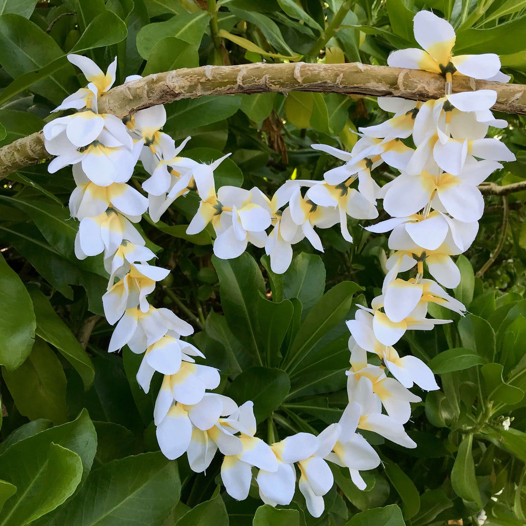Hawaiian silk wedding lei with white plumeria flowers | Aloha Products USA