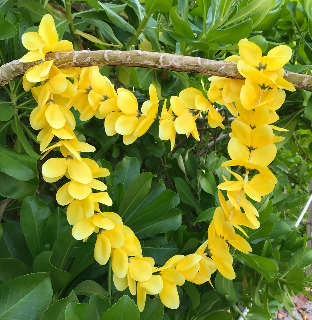 Hawaiian silk lei with yellow plumeria flowers | Aloha Products USA
