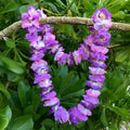 Hawaiian silk lei with purple pink and white rose flowers | Aloha Products USA